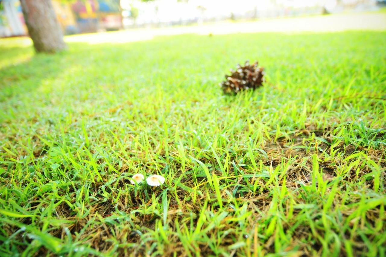 Sungbo Youth Hostel Mungyeong Bagian luar foto